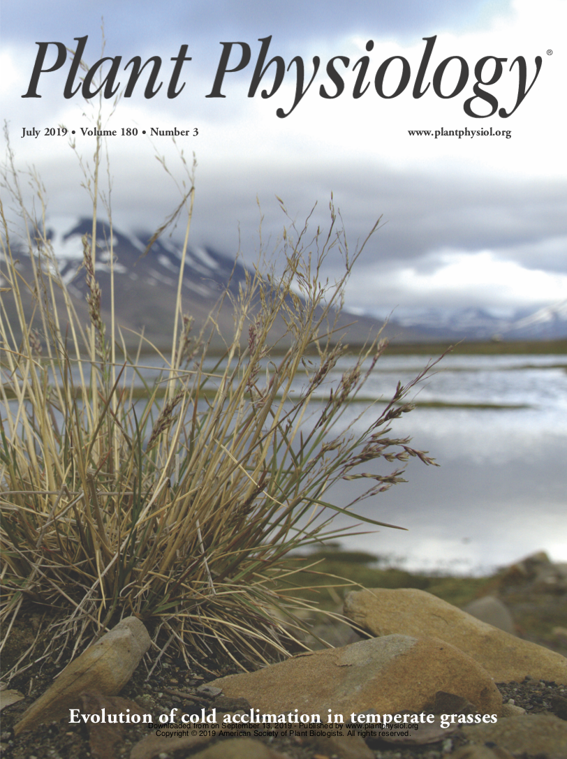 2019-PlantPhys